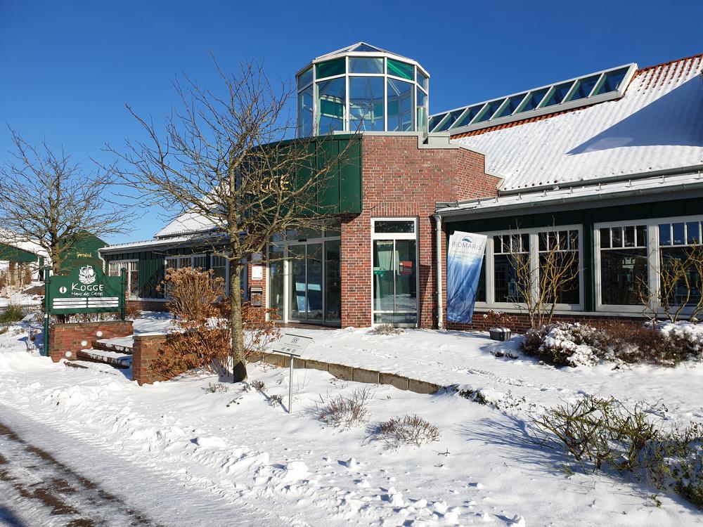 Kogge auf Spiekeroog