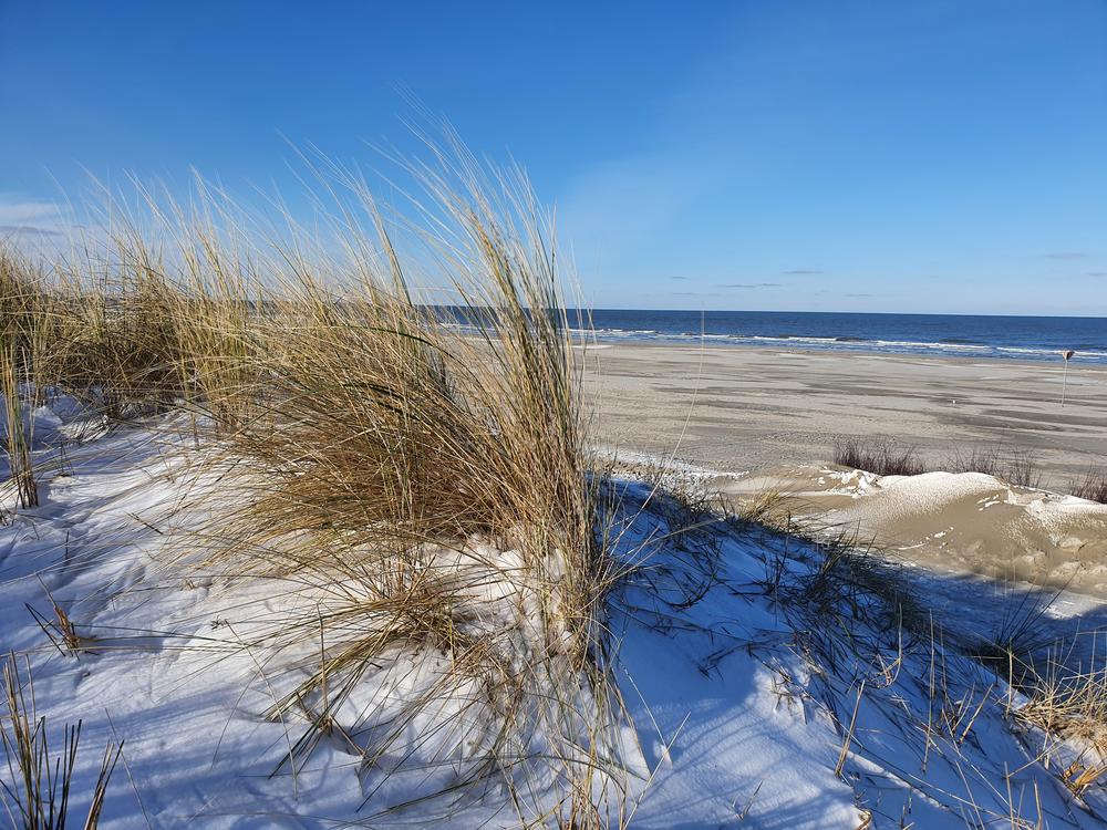 Winterdüne