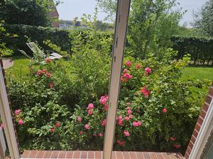 Kinderzimmer mit Rosen in der Wohnung Wintergarten