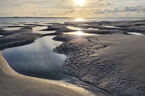 Sandbank vor Spiekeroog