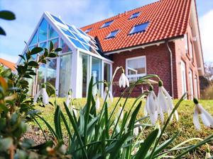 Haus Admiral im Schnee